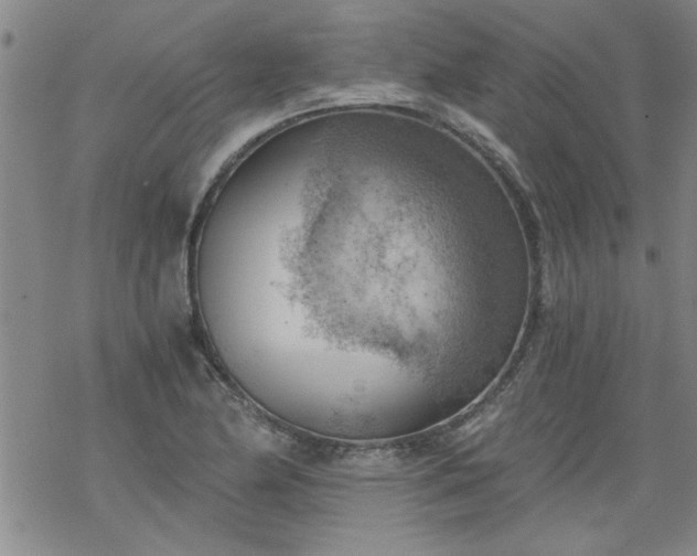 X0000068901174200605122052