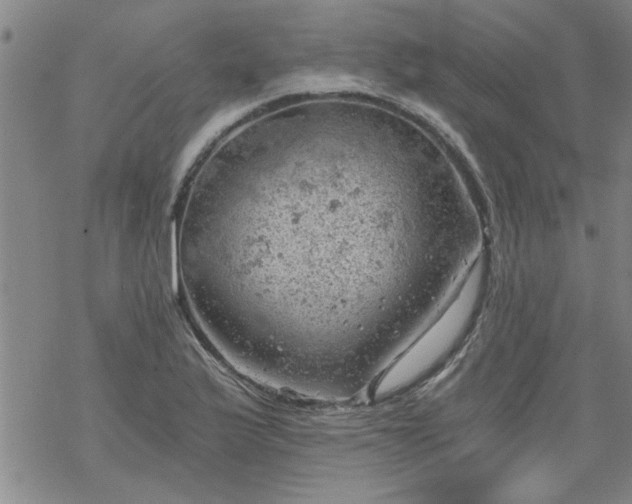 X0000068901175200605122052