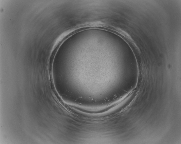 X0000068901176200605122052