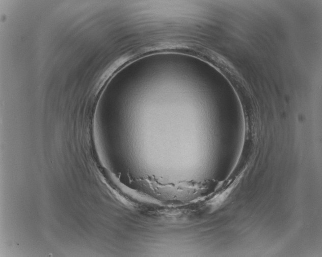 X0000068901177200605122052