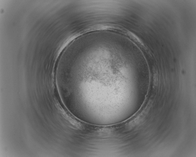 X0000068901178200605122052