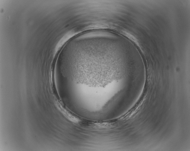 X0000068901179200605122052