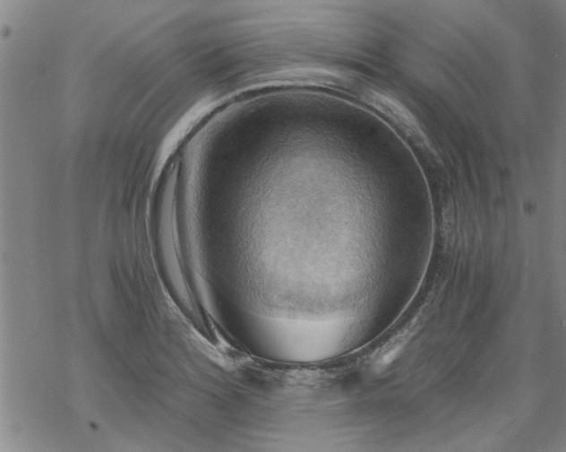 X0000068901180200605122052