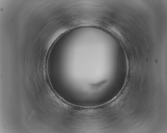 X0000068901182200605122052