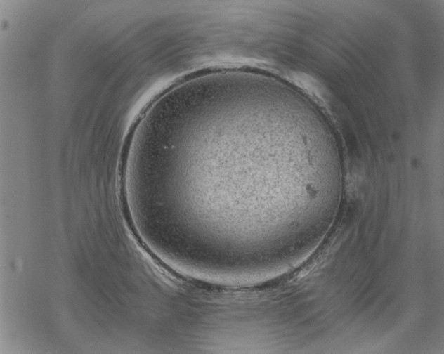 X0000068901183200605122052