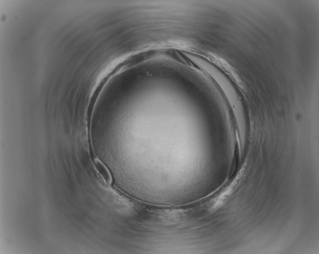 X0000068901184200605122052