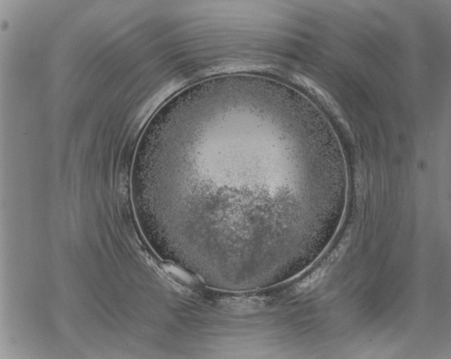 X0000068901185200605122052