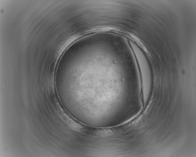 X0000068901186200605122052