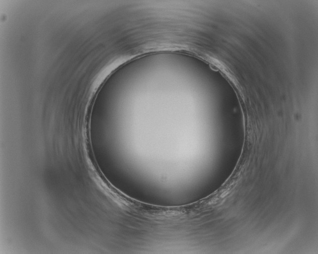 X0000068901187200605122052