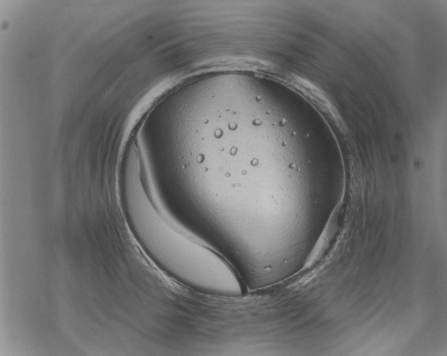 X0000068901188200605122052