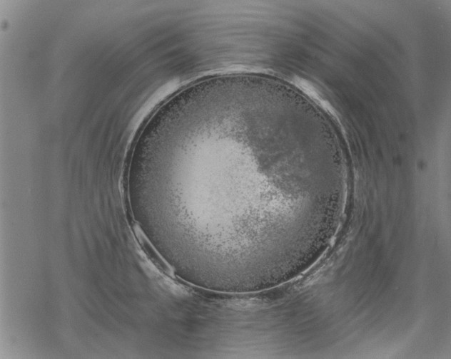 X0000068901189200605122052