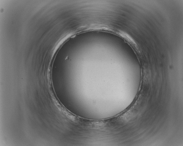 X0000068901190200605122052