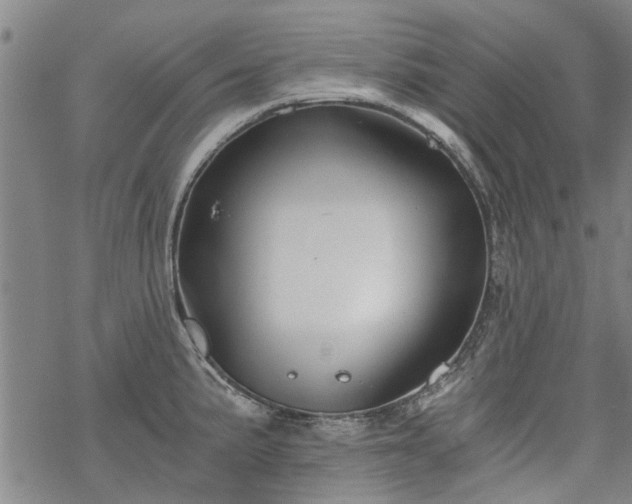 X0000068901191200605122052