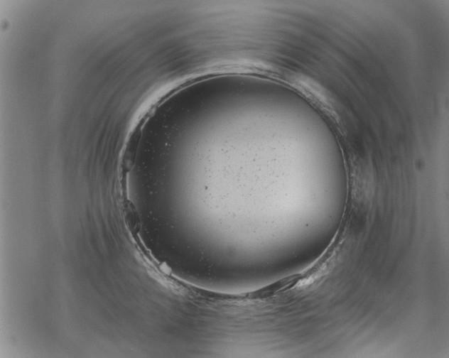 X0000068901192200605122052