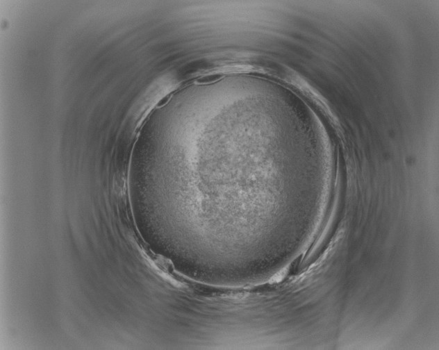 X0000068901193200605122052