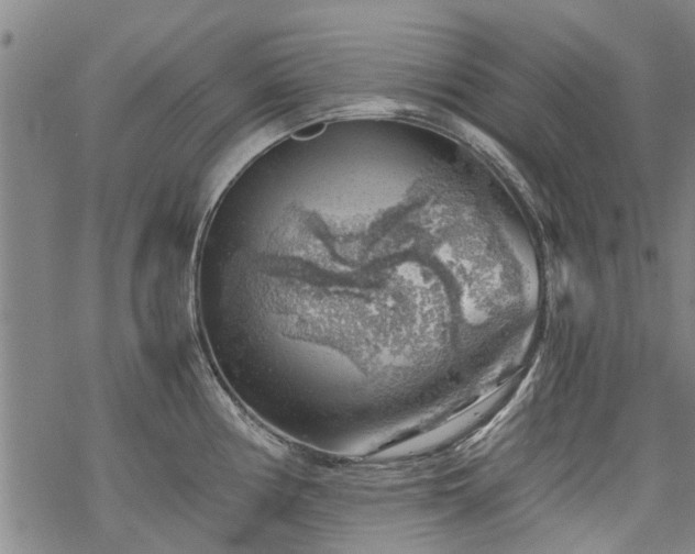 X0000068901194200605122052