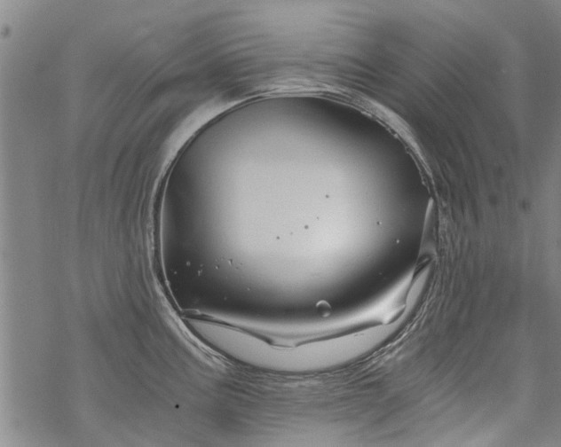 X0000068901195200605122052