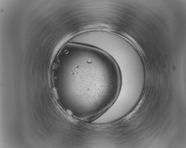 X0000068901196200605122052