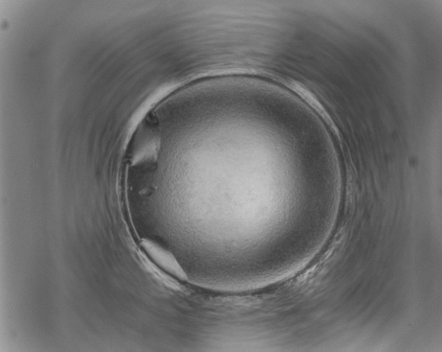 X0000068901197200605122052