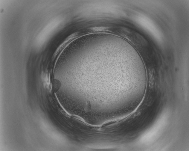 X0000068901198200605122052