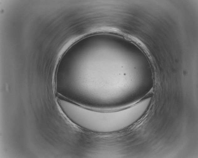 X0000068901199200605122052