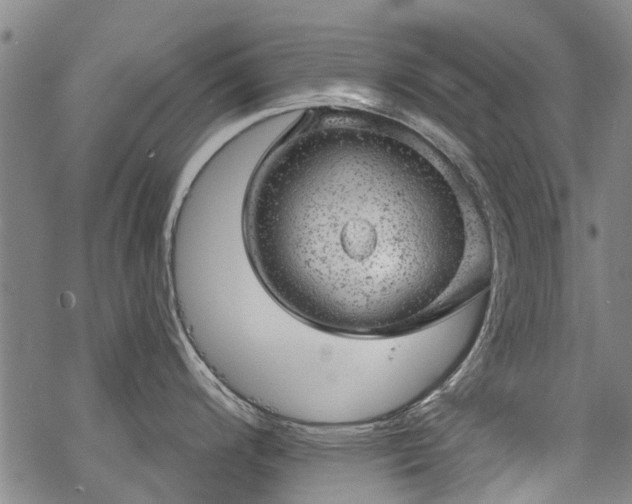 X0000068901200200605122052