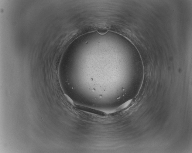 X0000068901201200605122051