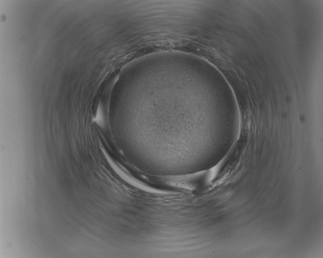 X0000068901202200605122051