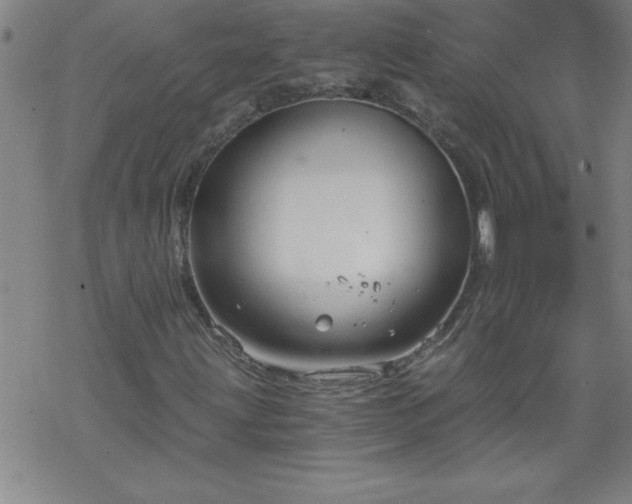 X0000068901203200605122051