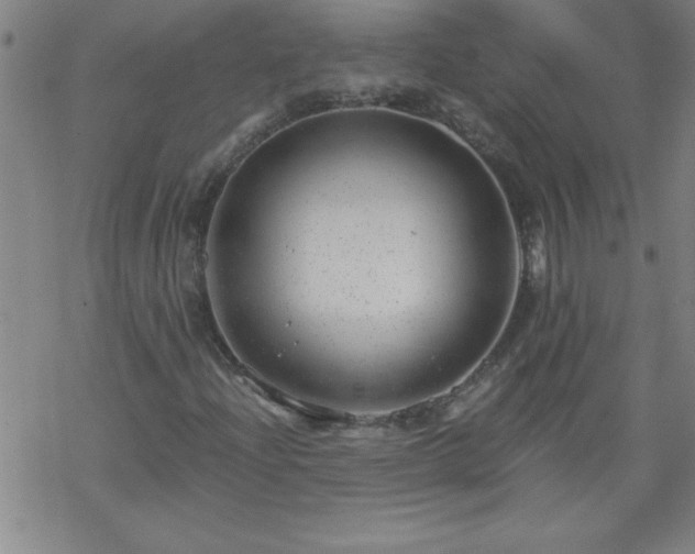 X0000068901204200605122051