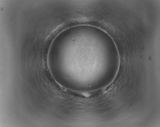 X0000068901205200605122051