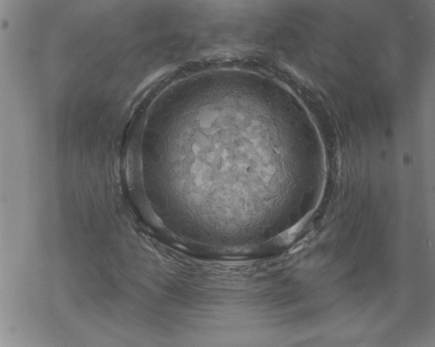 X0000068901206200605122051