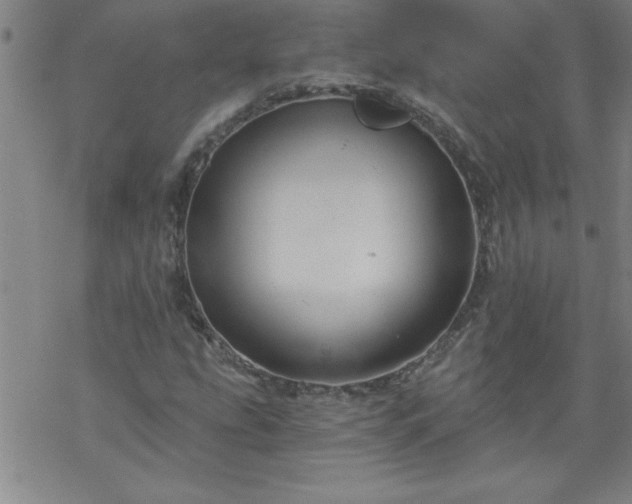 X0000068901207200605122051