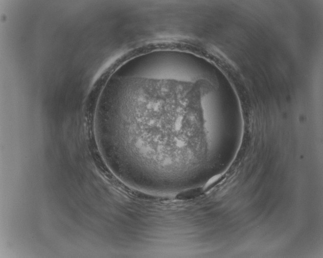 X0000068901208200605122051