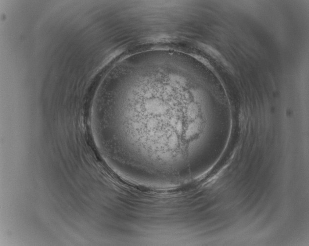 X0000068901209200605122051