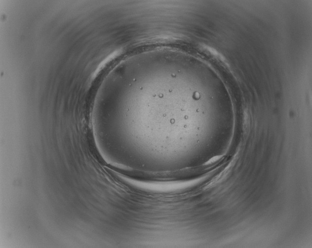 X0000068901210200605122051