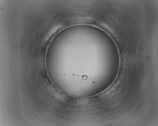 X0000068901211200605122051