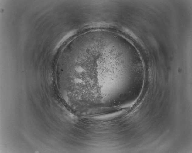 X0000068901213200605122051