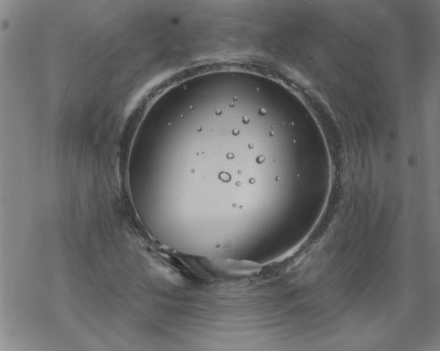 X0000068901214200605122051