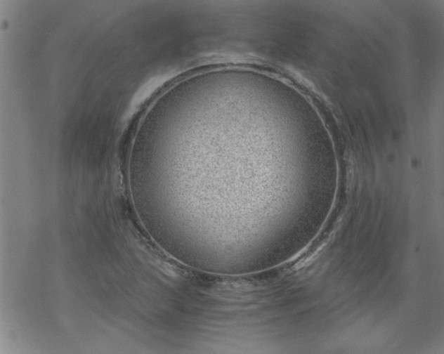 X0000068901215200605122051