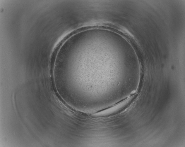 X0000068901216200605122051