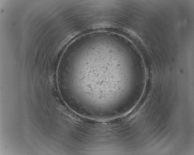 X0000068901217200605122051