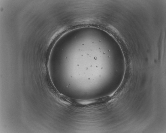 X0000068901218200605122051