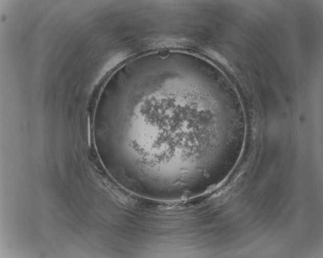 X0000068901219200605122051