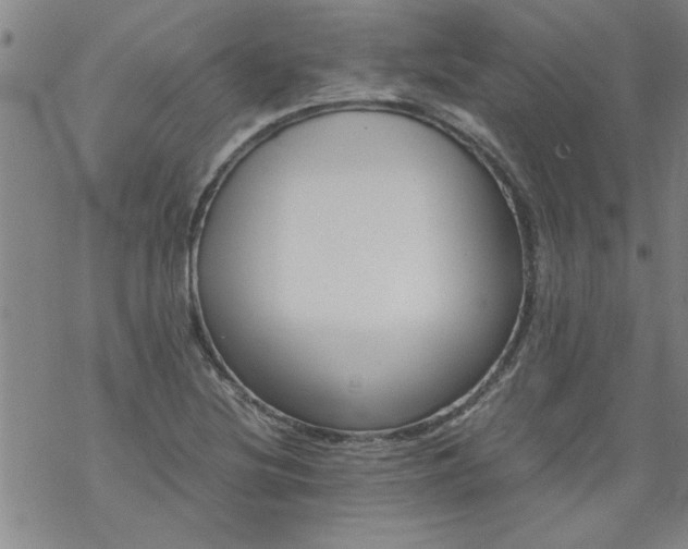 X0000068901220200605122051