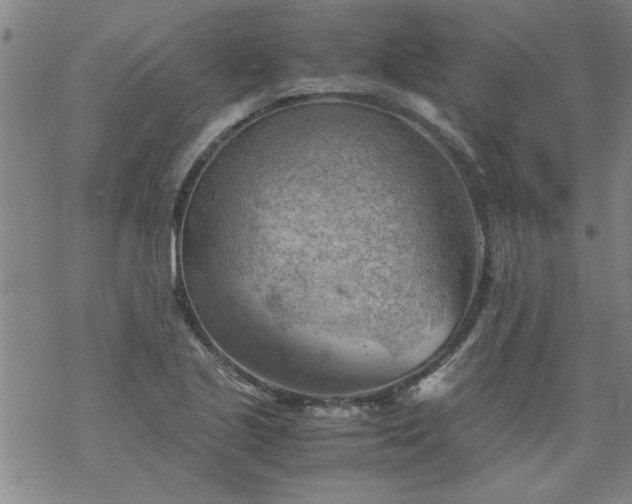 X0000068901221200605122051