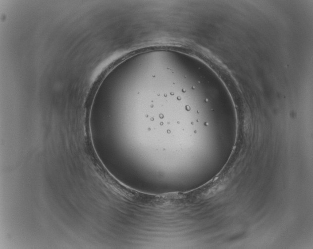 X0000068901222200605122051