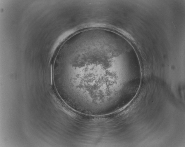 X0000068901223200605122051