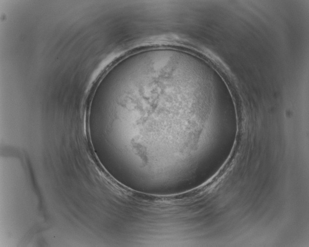 X0000068901224200605122051