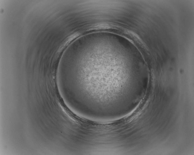 X0000068901225200605122051